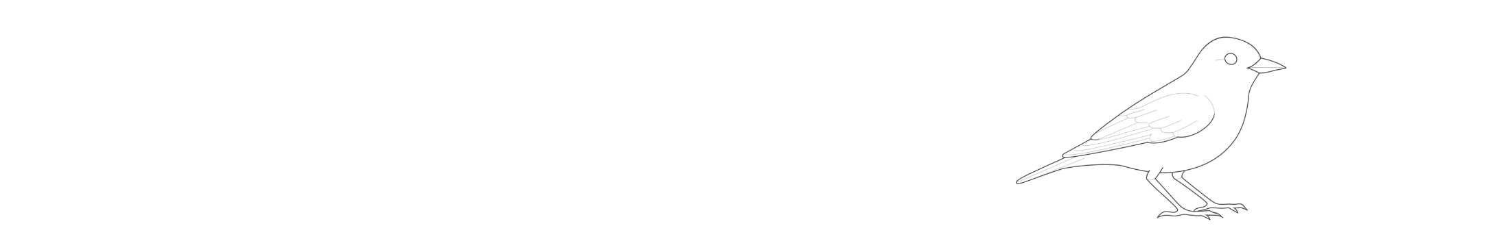 Vogelabwehr an Photovoltaik-Anlagen