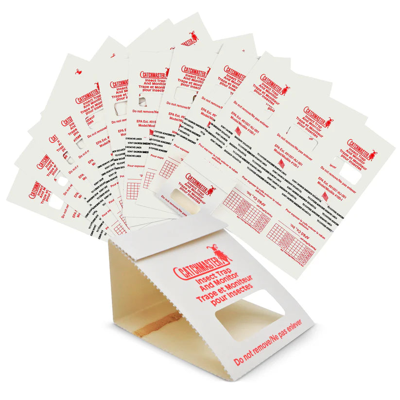 Catchmaster 100i Schabenfalle – robuste Klebefalle zur chemiefreien Schabenbekämpfung, geeignet für Gastronomie, Küche und Lagerbereiche