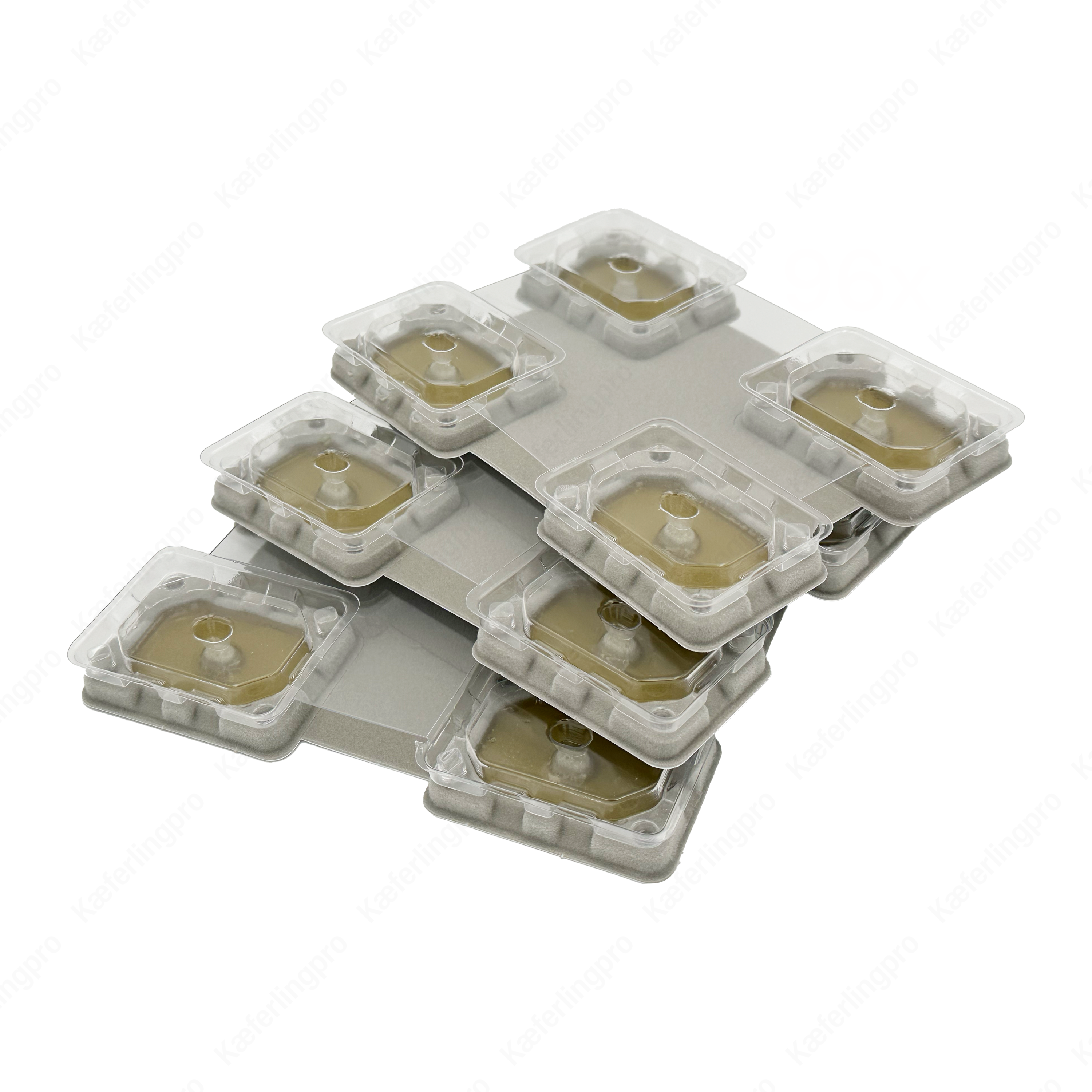 Die Catchmaster Bettwanzen Monitore im 96er-Pack sind ein unverzichtbares Werkzeug zur Früherkennung von Bettwanzenbefall. Dank der transparenten Bauweise lassen sich Schädlinge schnell identifizieren, ohne den normalen Ablauf im Haushalt oder Hotelbetrieb zu stören. Die Monitorfallen werden einfach unter Matratzen, Bettrahmen oder in potenziellen Verstecken platziert. Ideal für Prävention, Monitoring und professionelle Schädlingsbekämpfung. Ungiftig und zuverlässig in der Anwendung.