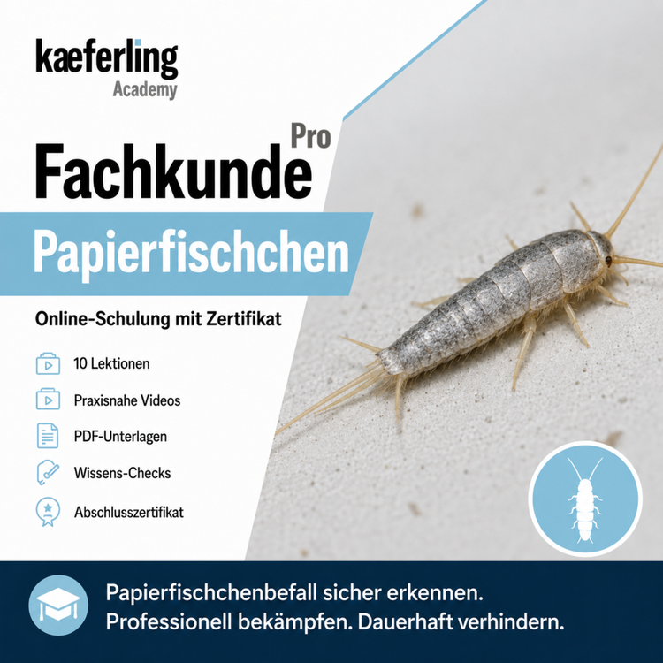 Kaeferling Academy Online-Kurs ‚Pro Fachkunde Papierfischchen‘ mit zehn Lektionen, praxisnahen Videos, PDF-Unterlagen, Wissens-Checks und einem Abschlusszertifikat; rechts ist ein Papierfischchen abgebildet.