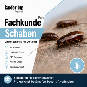 Kaeferling Academy Online-Kurs ‚Pro Fachkunde Schaben‘ mit 10 Lektionen, praxisnahen Videos, PDF-Unterlagen, Wissens-Checks un einem Abschlusszertifikat; rechts sind mehrere Schaben abgebildet.