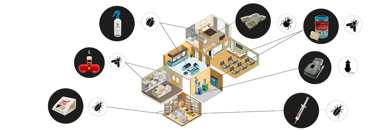 Diese Übersichtsgrafik zeigt den gezielten Einsatz professioneller Schädlingsbekämpfungsprodukte in verschiedenen Bereichen eines Gebäudes. Abgebildet sind Bettwanzen-Monitore, Schabenfallen, Ködergele, Fruchtfliegenfallen, Mäusefallen sowie Allergoff-Allergen-Spray. Jedes Produkt ist einem spezifischen Raum zugeordnet, etwa Schlafzimmer, Küche, Klassenzimmer oder Lagerraum. Die Grafik verdeutlicht, wie wichtig eine maßgeschneiderte Schädlingskontrolle ist, um Hygiene, Gesundheit und Sicherheit effektiv zu 