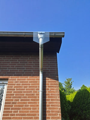 Das Bild zeigt die Außenansicht eines Hauses mit roter Ziegelwand und einem Fallrohr, an dem eine transparente Mardersperre unterhalb der Dachrinne montiert ist. Diese Vorrichtung verhindert, dass Marder oder andere Tiere über das Rohr aufs Dach gelangen. Durch das klare Material bleibt die Sperre optisch dezent, während sie zuverlässigen Schutz bietet. Eine einfache und langlebige Lösung für Hausbesitzer, um Schäden durch Marder oder Katzen zu verhindern.