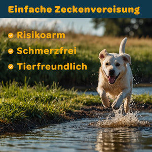 Das Bild zeigt einen fröhlichen Hund, der durch Wasser läuft und symbolisch für die einfache, schonende und sichere Zeckenvereisung steht. Diese Methode ist risikoarm, schmerzfrei und besonders tierfreundlich, da sie ohne großen Stress für Mensch und Tier funktioniert. Die Vereisung betäubt die Zecke, wodurch sie im Anschluss problemlos entfernt werden kann. So wird die Gefahr einer Infektion oder das Abreißen der Zecke zuverlässig minimiert. Ideal für Haustierbesitzer, die eine sichere und sanfte Lösung zu