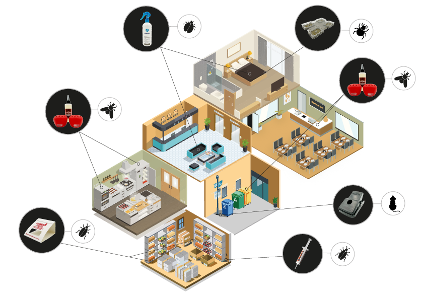 Die Abbildung zeigt eine schematische Darstellung eines Gebäudes mit Schlafzimmer, Küche, Büro, Lagerraum und Klassenraum. Rund um das Haus sind Schädlingsbekämpfungsprodukte platziert, die auf typische Einsatzbereiche hinweisen: Sprays gegen Milben im Schlafzimmer, Köder gegen Ameisen in der Küche und im Klassenzimmer, Fallen gegen Mäuse im Eingangsbereich, Monitore gegen Bettwanzen sowie Gele gegen Kakerlaken. Die Grafik dient als anschauliche Übersicht für den gezielten Einsatz von Produkten in unterschi