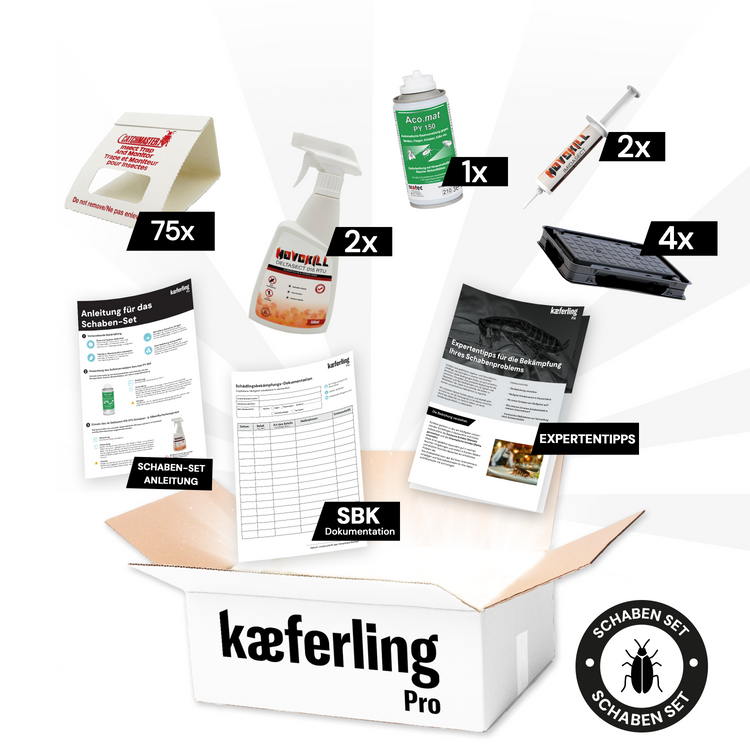Kaeferling Pro Schaben-Set Small – Komplettset mit Vernebler, Spray, Gel, Fallen & Anleitung zur wirksamen Schabenbekämpfung, auch in Feuchträumen


