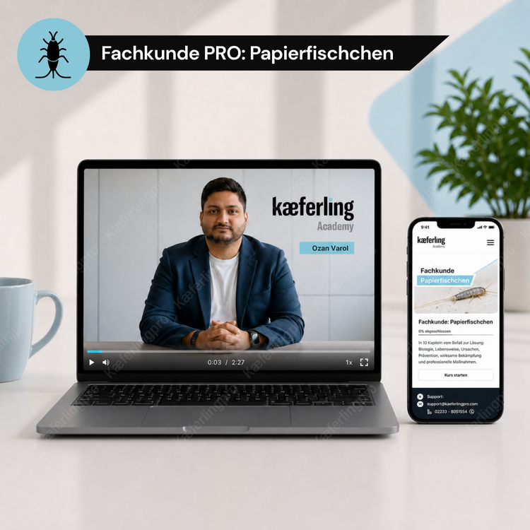 Online-Kurs ‚Fachkunde PRO: Papierfischchen der Kaeferling Academy auf Laptop und Smartphone mit Kursvideo und mobiler Lernplattform.