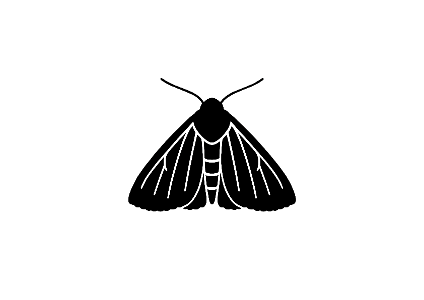 Das Bild zeigt ein schwarzes Silhouetten-Symbol einer Motte mit ausgebreiteten Flügeln und sichtbaren Fühlern. Dieses Icon eignet sich zur Kennzeichnung von Produkten gegen Mottenbefall, insbesondere Kleidermotten oder Lebensmittelmotten. Dank transparentem Hintergrund lässt sich die Grafik flexibel in Produktabbildungen, Infografiken oder Marketingmaterialien integrieren.
